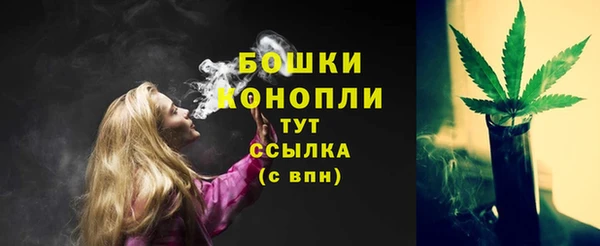 MESCALINE Инта
