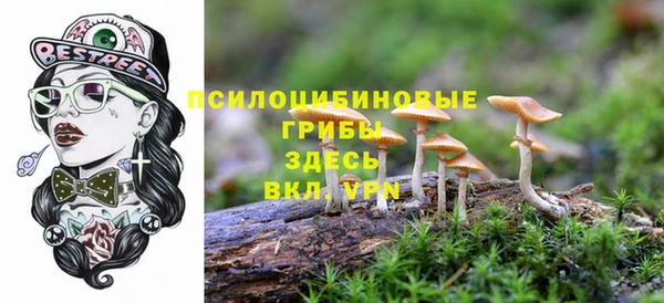 MESCALINE Инта